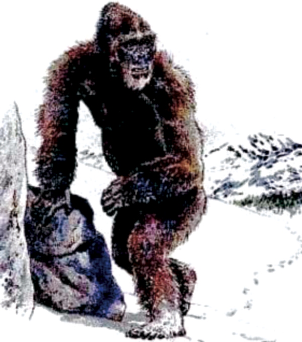 Bigfoot/Sasquatch v Yeti Carnivora